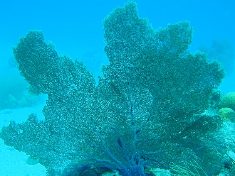 2015-03-28 10-36-06.JPG